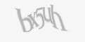 Защитный код