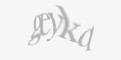 Защитный код