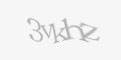 Защитный код